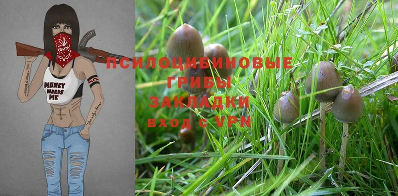 Галлюциногенные грибы MAGIC MUSHROOMS  Никольское 